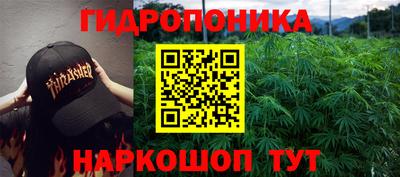 крисы Бугуруслан
