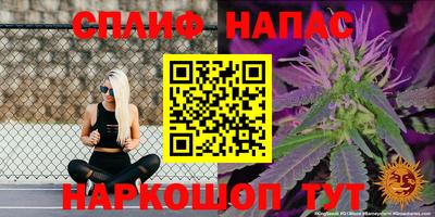 скорость Будённовск