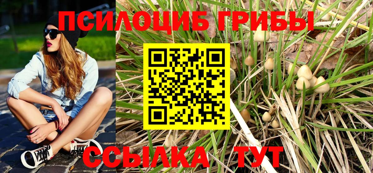 Псилоцибиновые грибы Cubensis Озёры