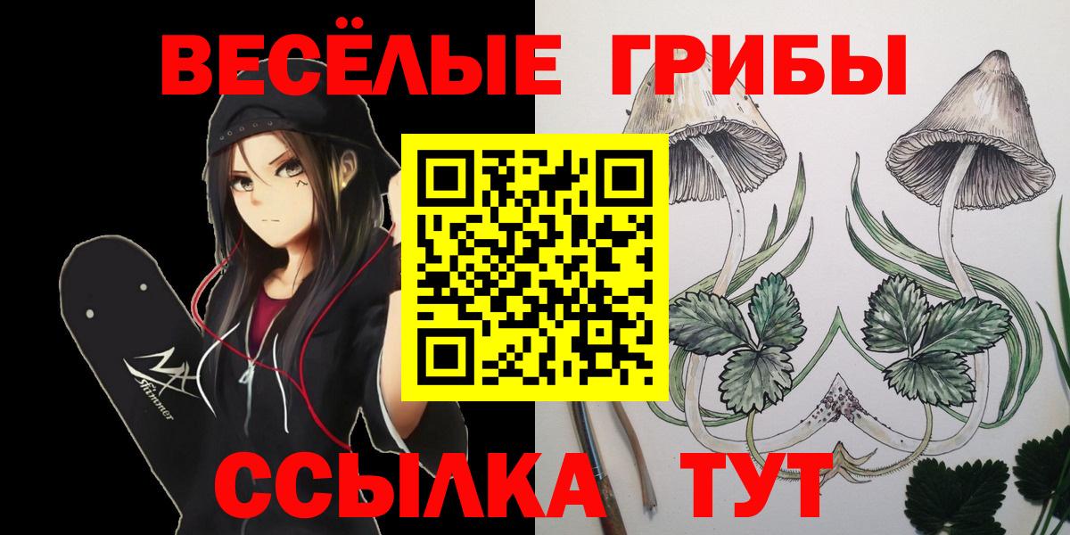 Гашиш  Озёры  Экстази  A PVP СК   МЕФ   Каннабис  Вход с VPN 