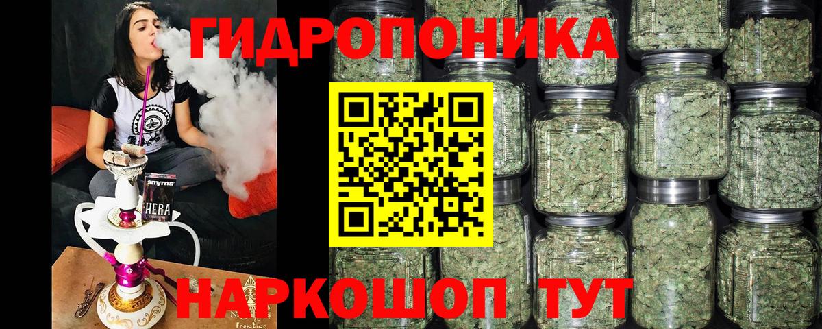 Бошки Шишки сатива Озёры